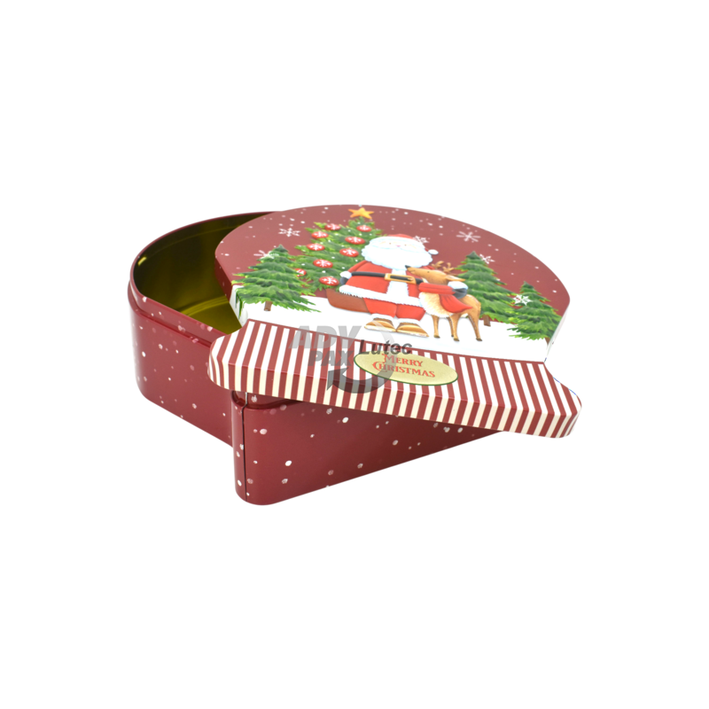 Weihnachtsdose Schneekugel Santa