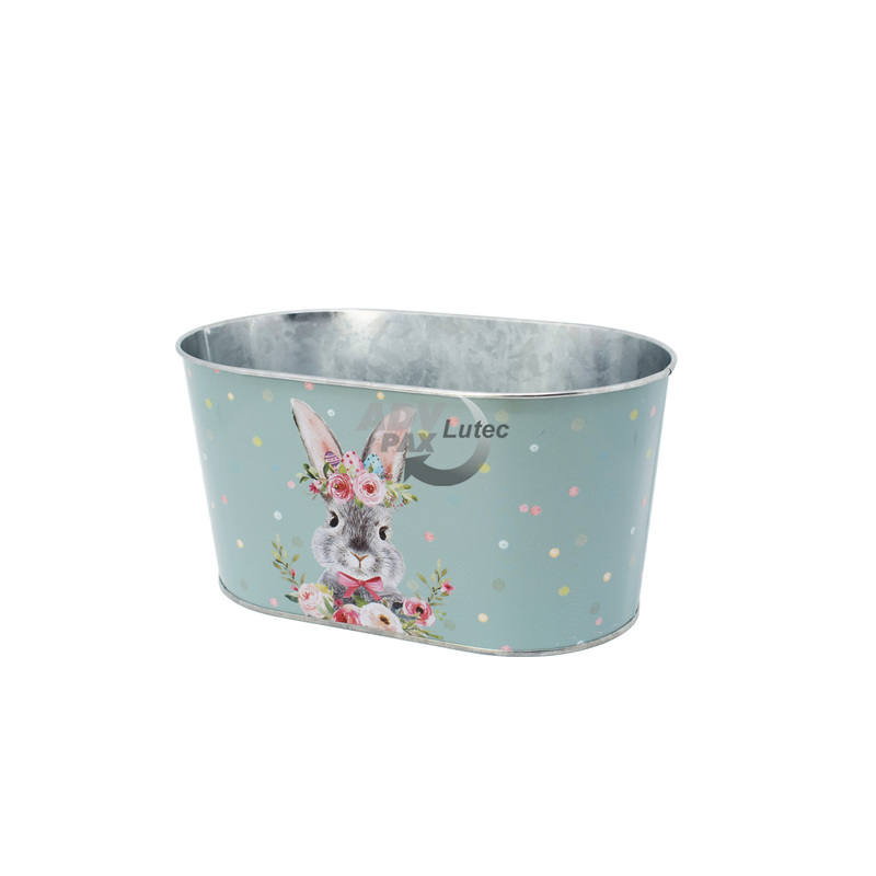 Bucket Rabbit
