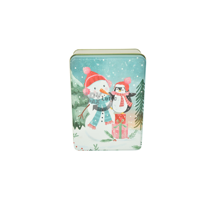 Present Snow